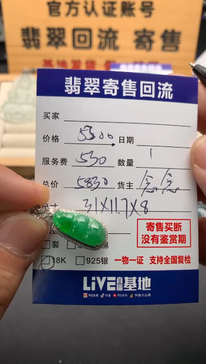 翡翠18K金镶嵌颈饰10138689