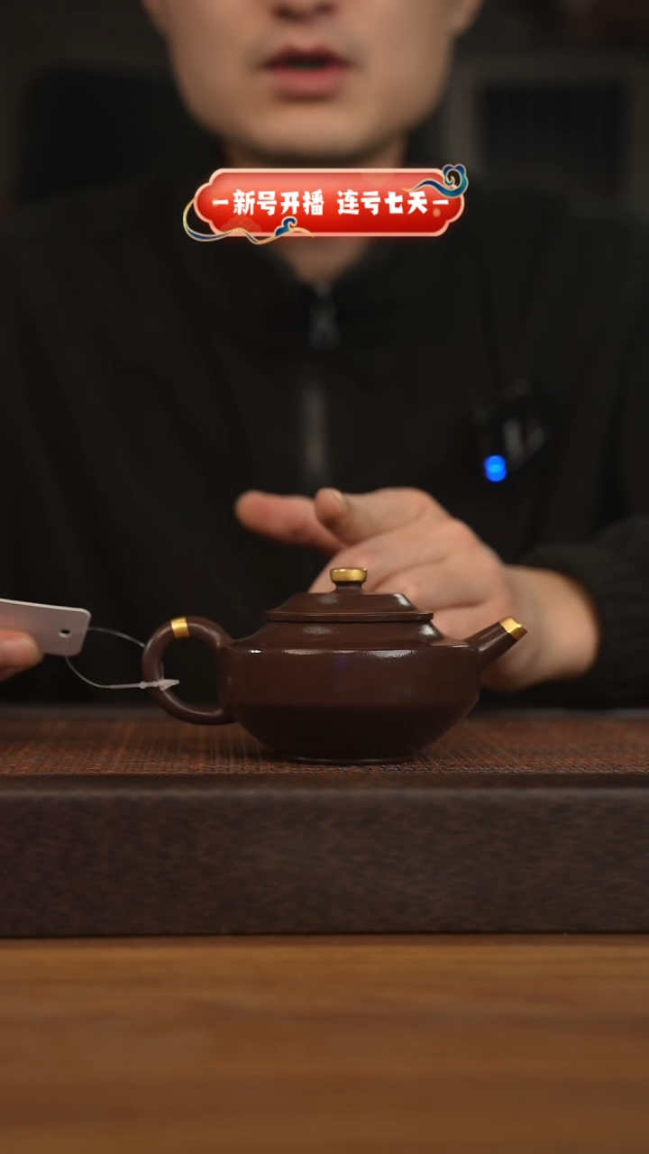 【闪购商品】紫砂茶壶宜兴原矿紫砂壶H6300