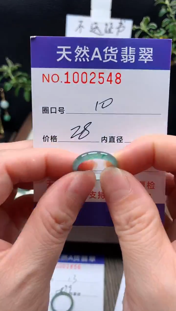 未镶嵌戒指翡翠10#