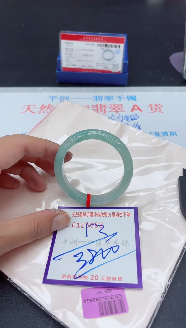 未镶嵌手镯翡翠11111111