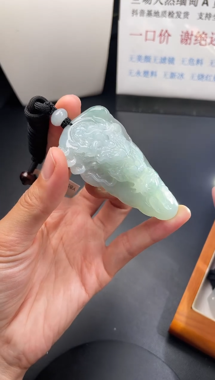 颈饰未镶嵌翡翠龙牌