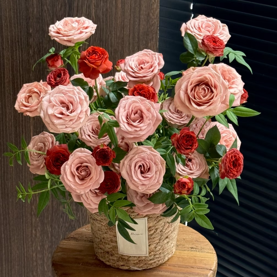 【云南基地鲜花批发】卡布奇诺现采咖啡色单头玫瑰鲜切花复古风