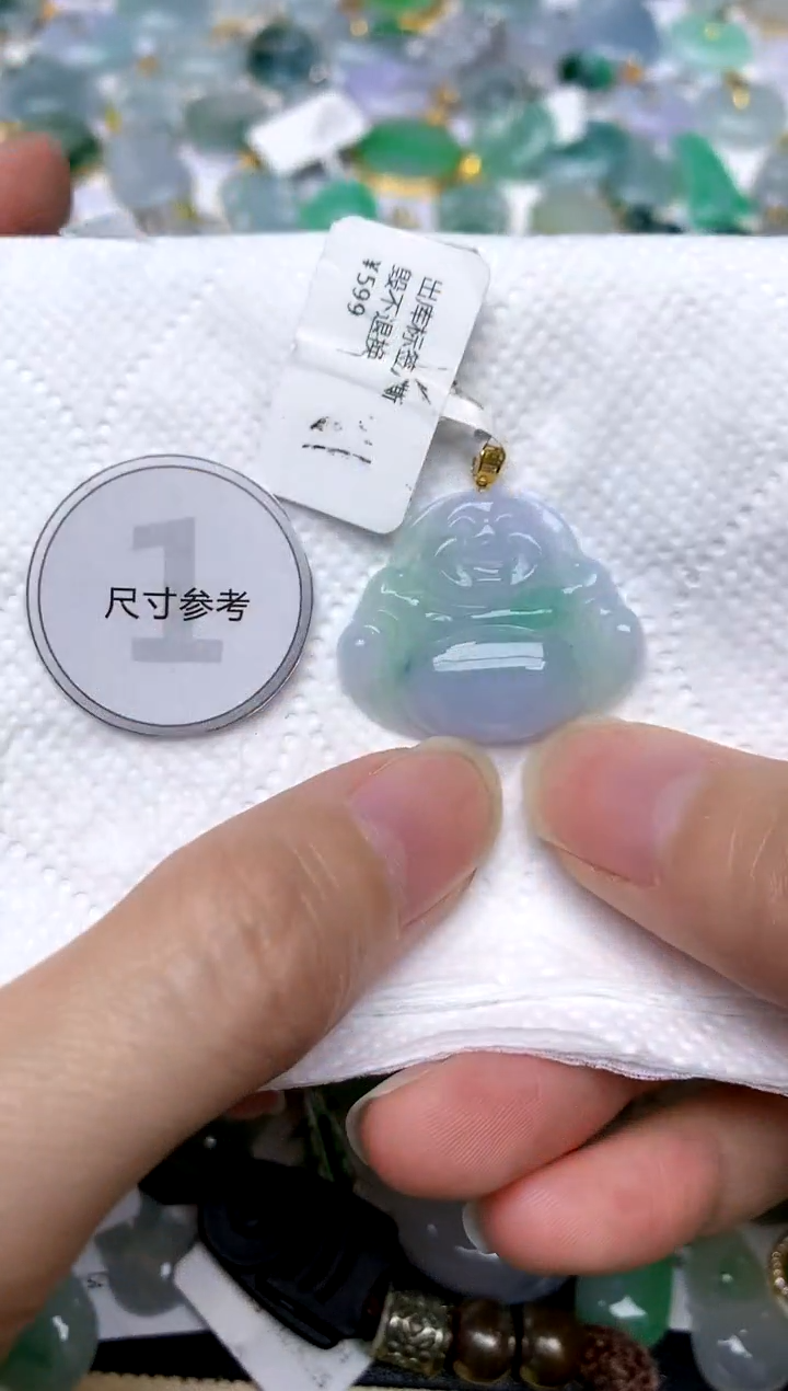 颈饰18K金镶嵌翡翠天然A货翡翠