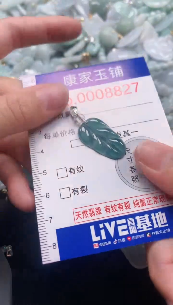 颈饰未镶嵌翡翠8827