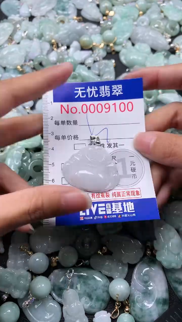 颈饰未镶嵌翡翠9100