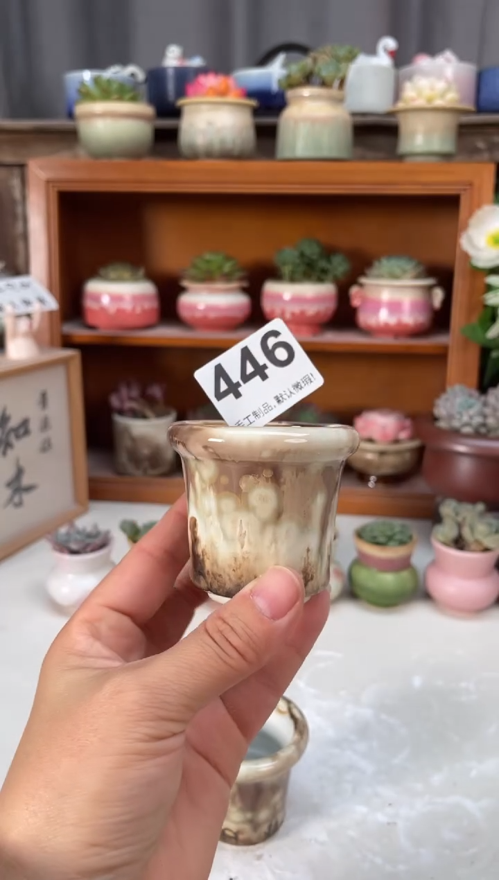 瓷片448小芳直播编号