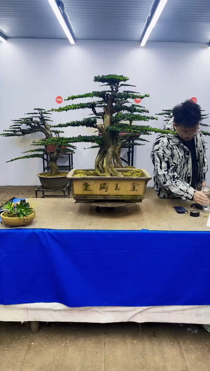 完全开放一物一拍，所见即所得