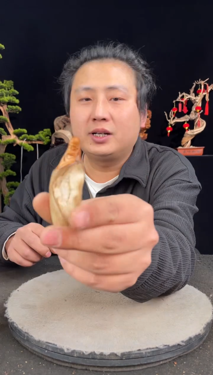 【闪购商品】柏木（崖柏）其他手工摆件,先抢先得!