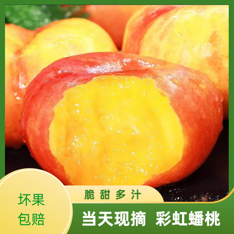 【产地直发】彩虹油蟠桃应季水果大果C1