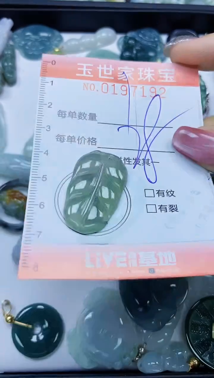 【闪购商品】翡翠颈饰未镶嵌闪购0197192