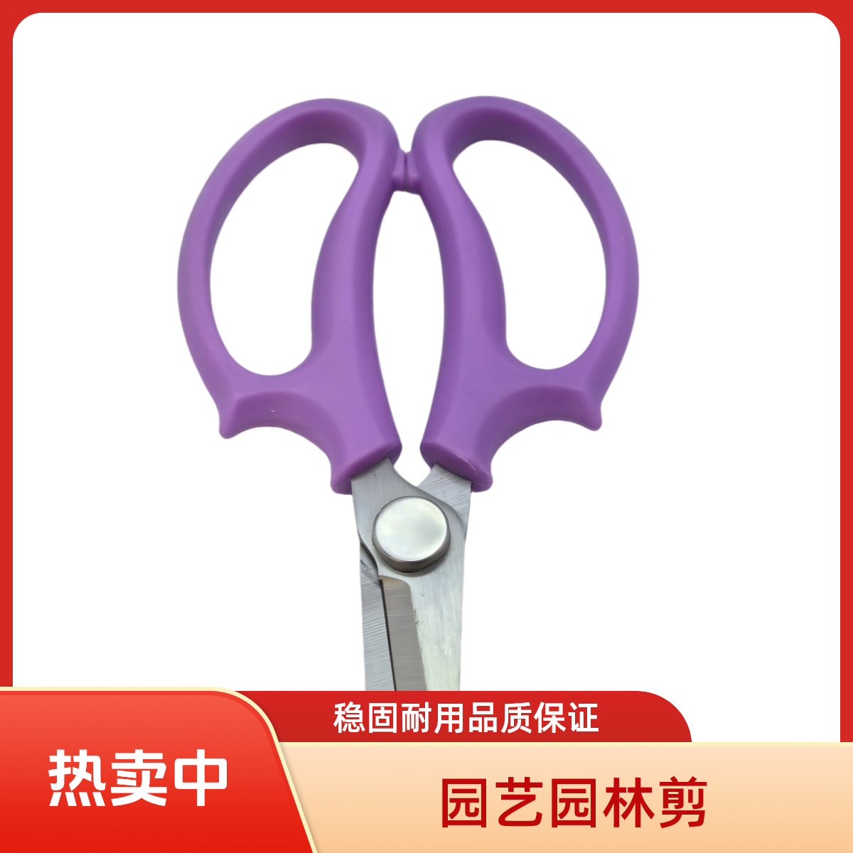 【多功能宽头剪刀】颐俐捷鲜花剪刀花艺园艺修花修枝便携耐用省力