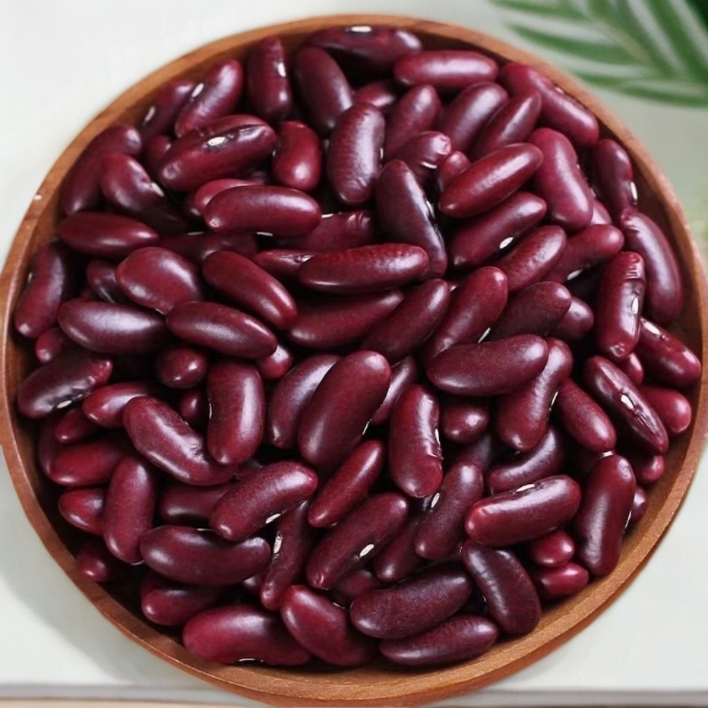 云南大红豆红腰豆红芸豆五谷杂粮红豆沙馅酸菜汤沙拉豆甜品煲汤豆