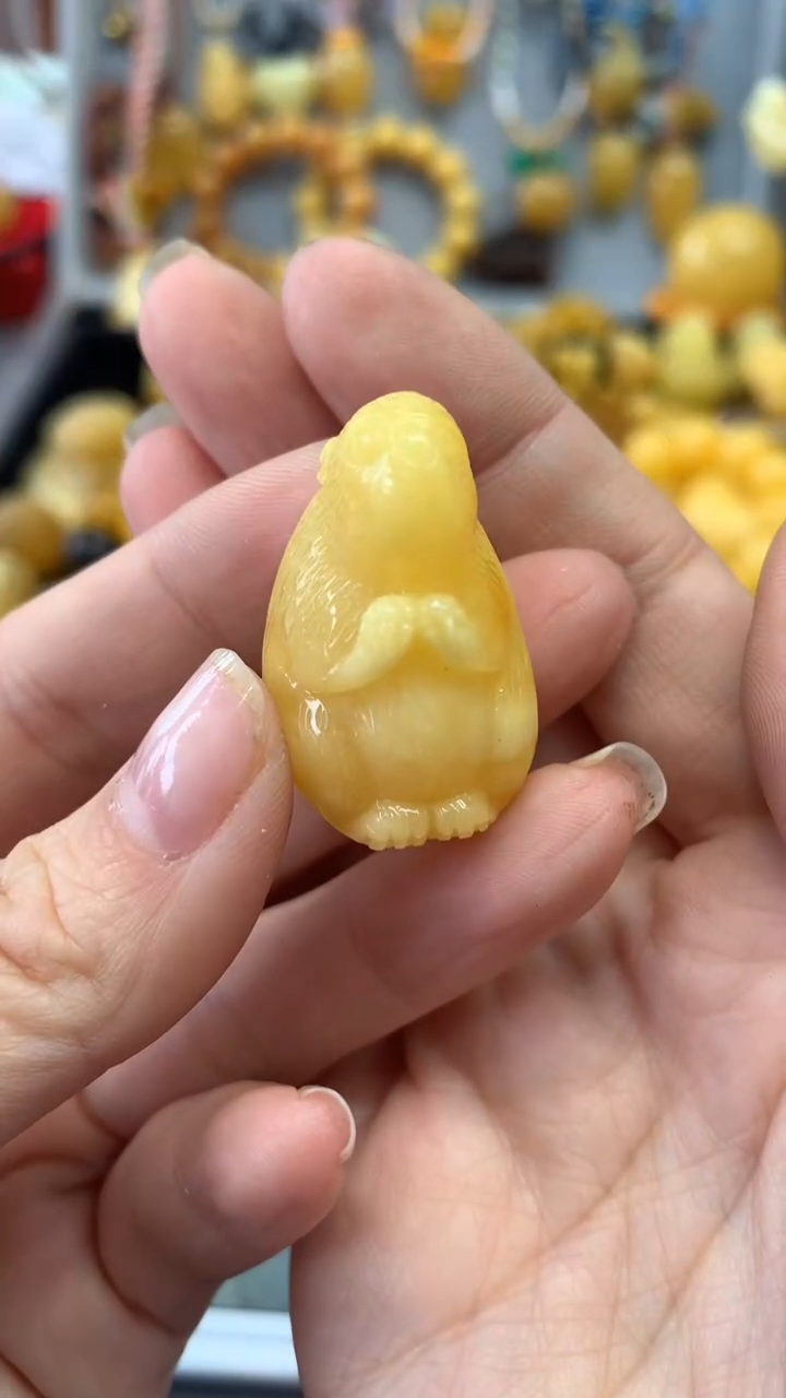 【闪购商品】琥珀珠宝奇石未镶嵌89
