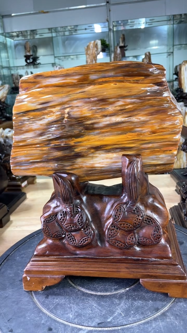 【闪购商品】硅化玉珠宝奇石未镶嵌636