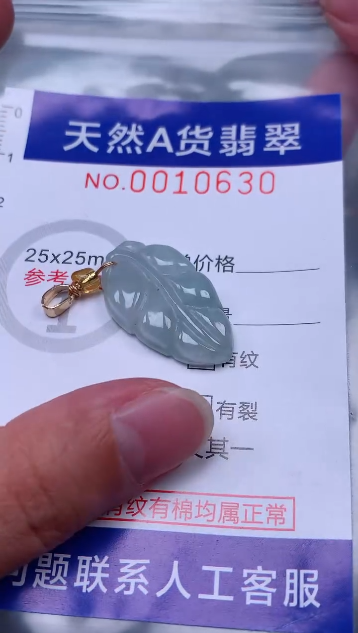 吊坠(赠链)未镶嵌翡翠1