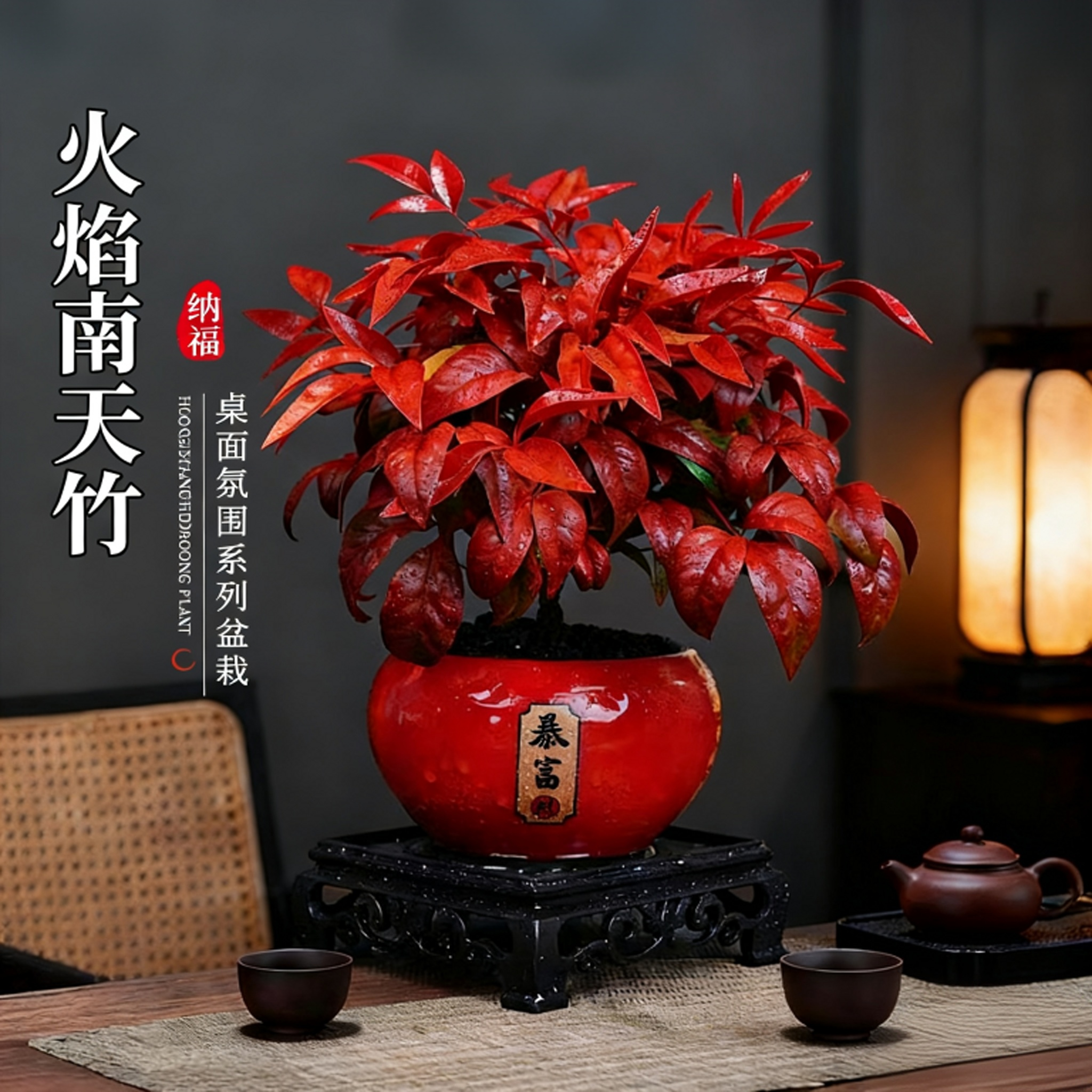 火焰南天竹盆栽耐寒植物室内客厅禅意盆景办公室桌面好养绿植花卉