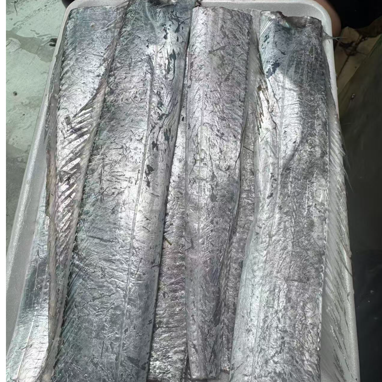 【切段】渤海小带鱼（3两左右）切段分装速冻发货，顺丰