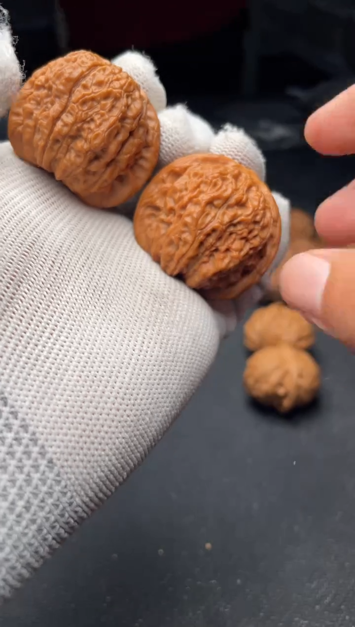 核桃a160   血麒麟 39尺