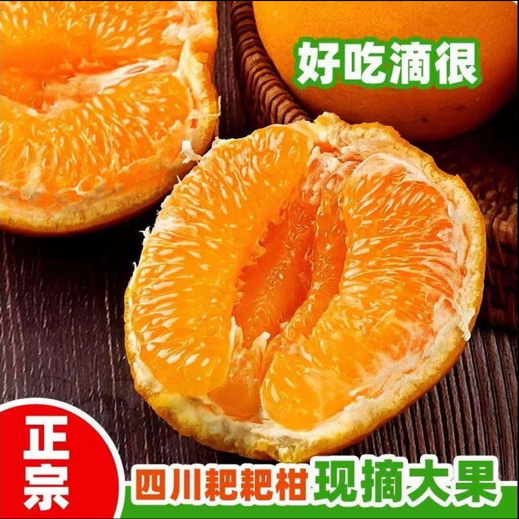 头茬正宗四川春见耙耙柑果园现摘发货爆甜多汁