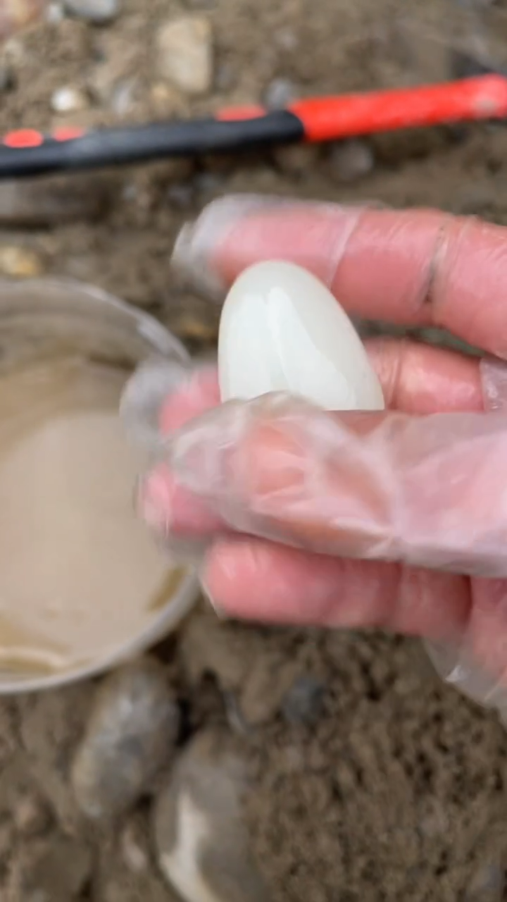 颈饰未镶嵌和田玉（糖玉）0014