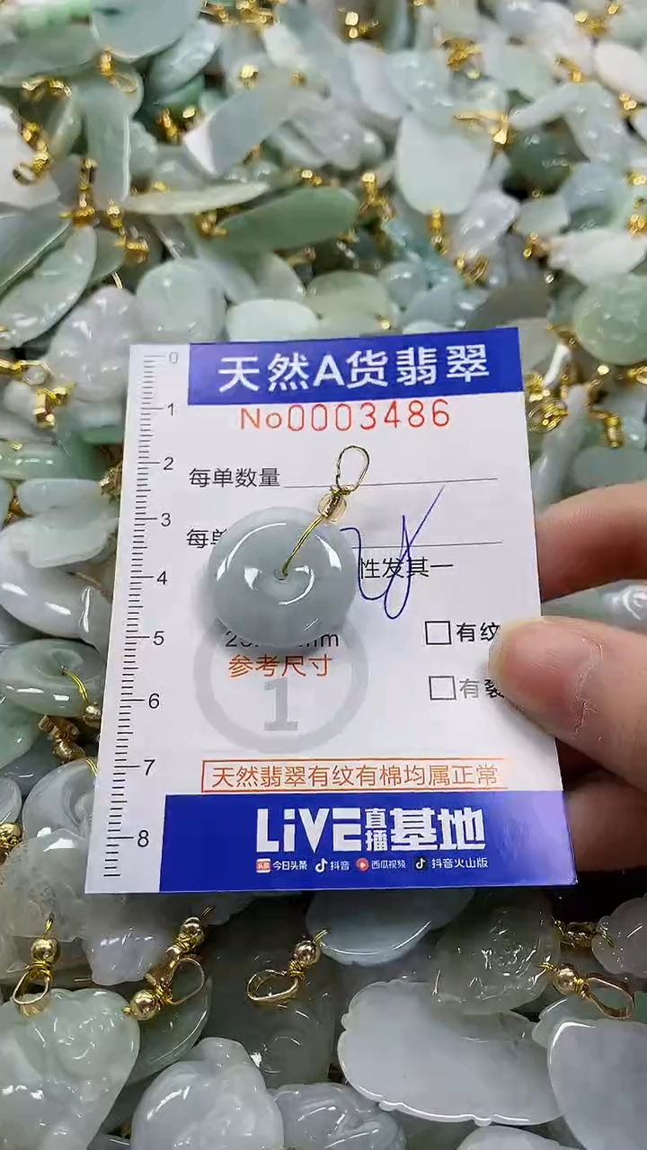 颈饰未镶嵌翡翠纯天然a货翡翠