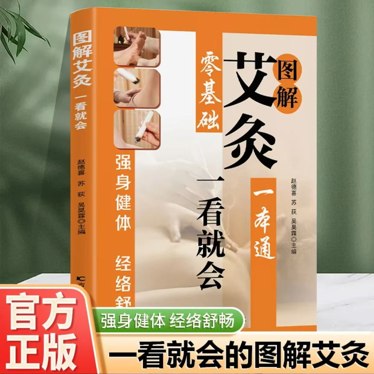 图解艾灸零基础入门一本通 强身健体经络舒畅养生调理