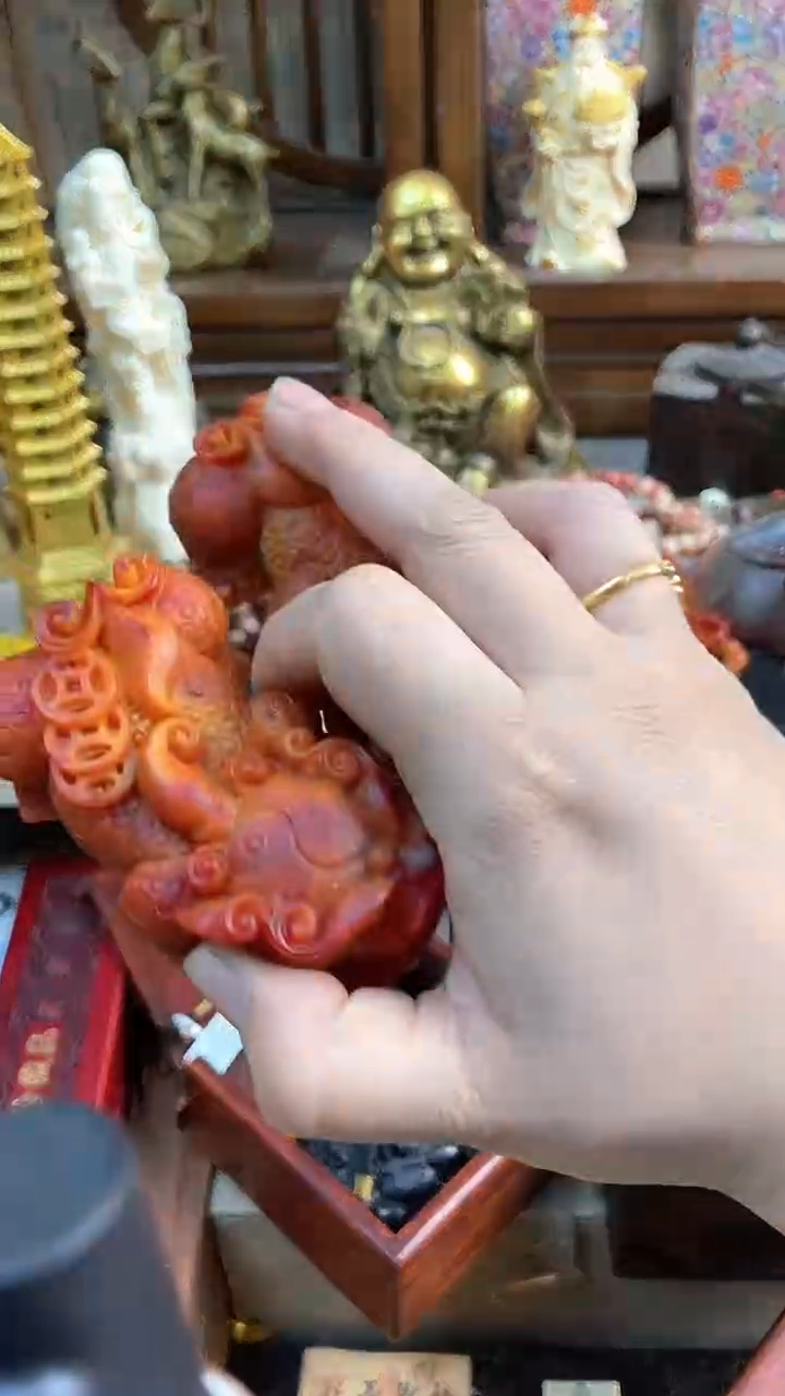【闪购商品】木七月直播专属推荐