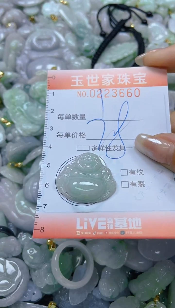翡翠未镶嵌颈饰闪购0223660