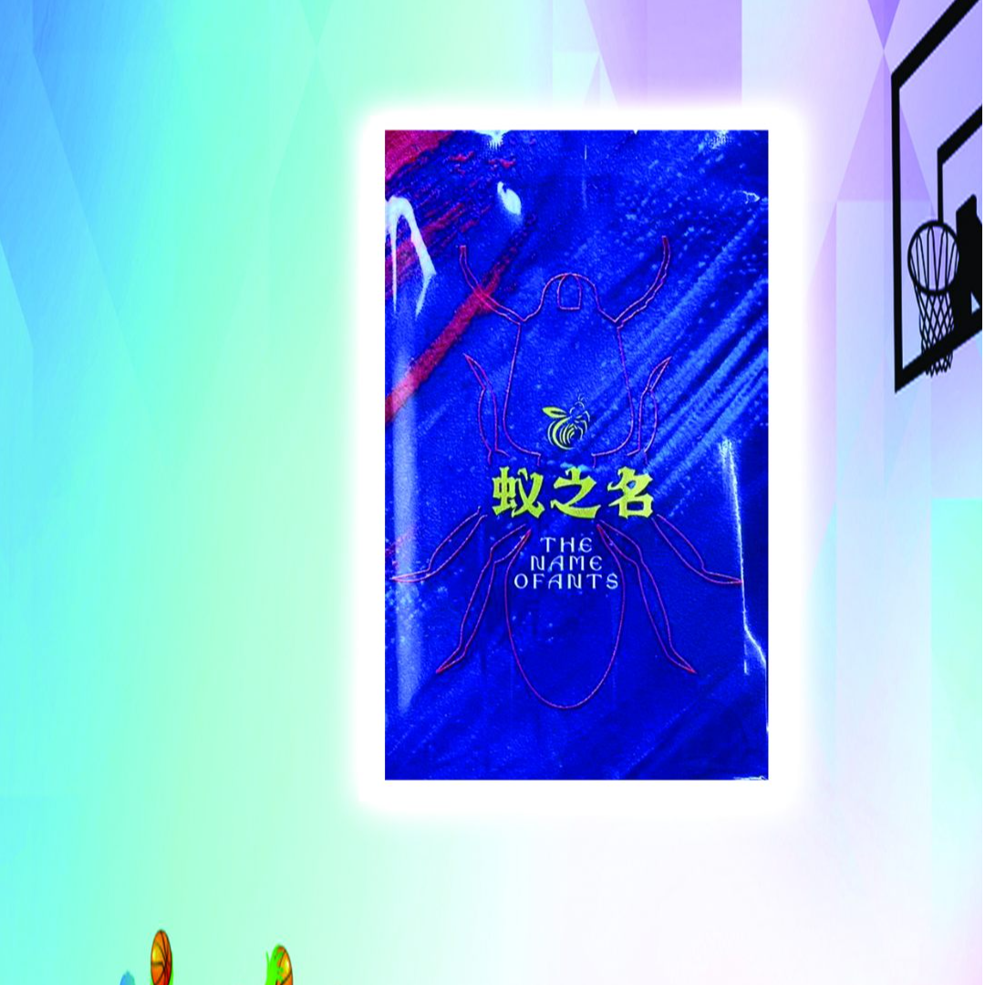 【直播拆卡】NBA篮球球星卡 彩包 一碰三！