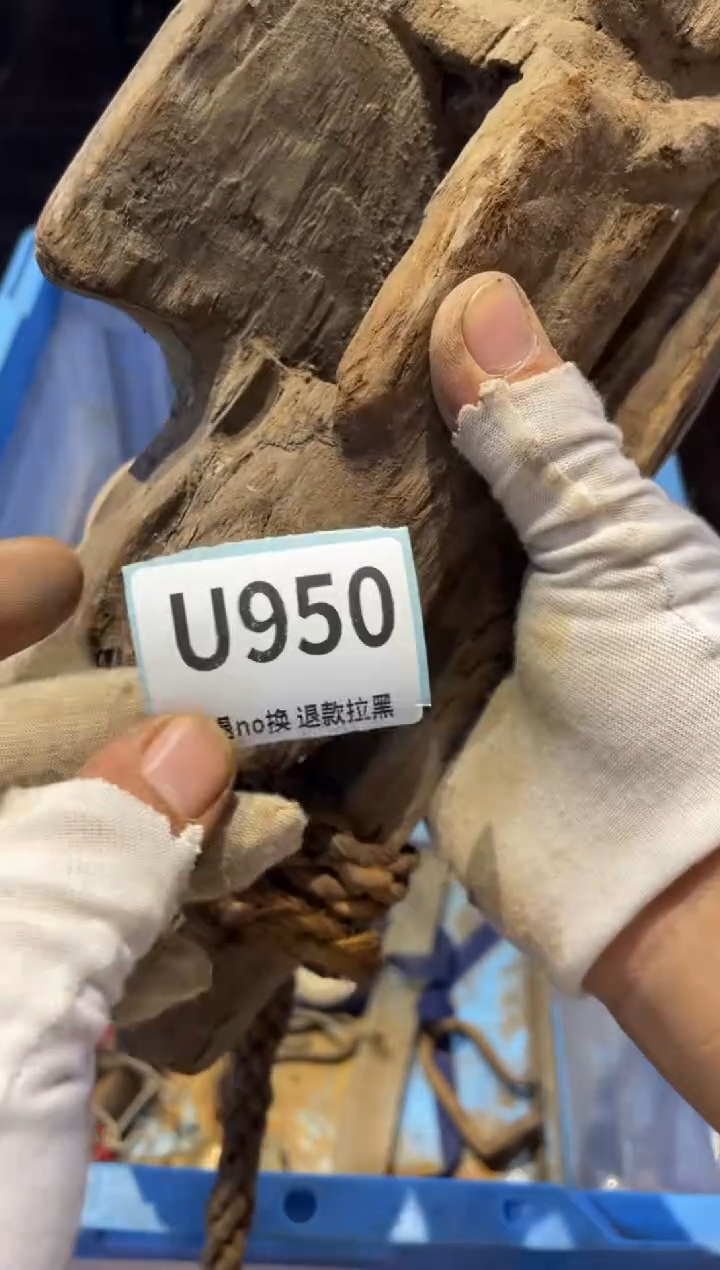 瓷片百****菜表弟直播链接火爆