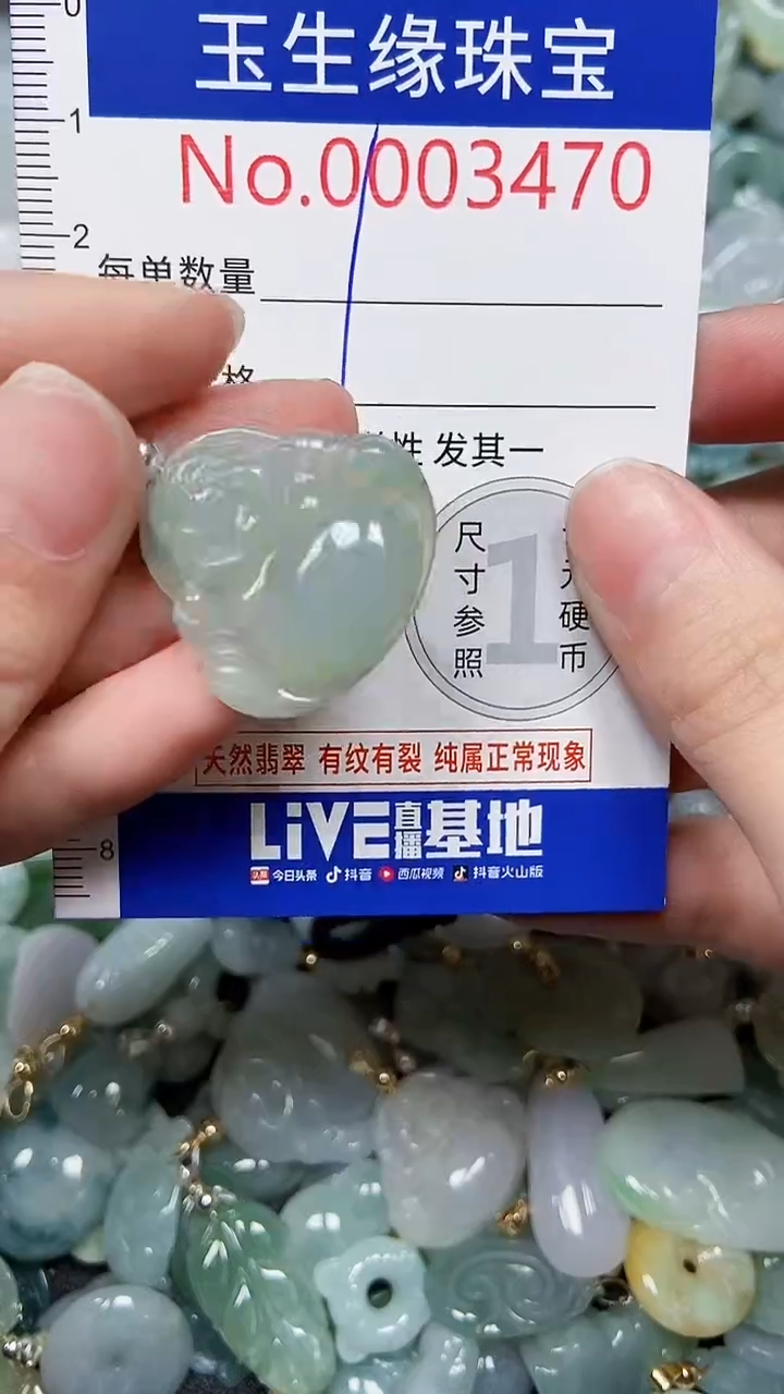 【闪购商品】翡翠颈饰未镶嵌闪购00003470