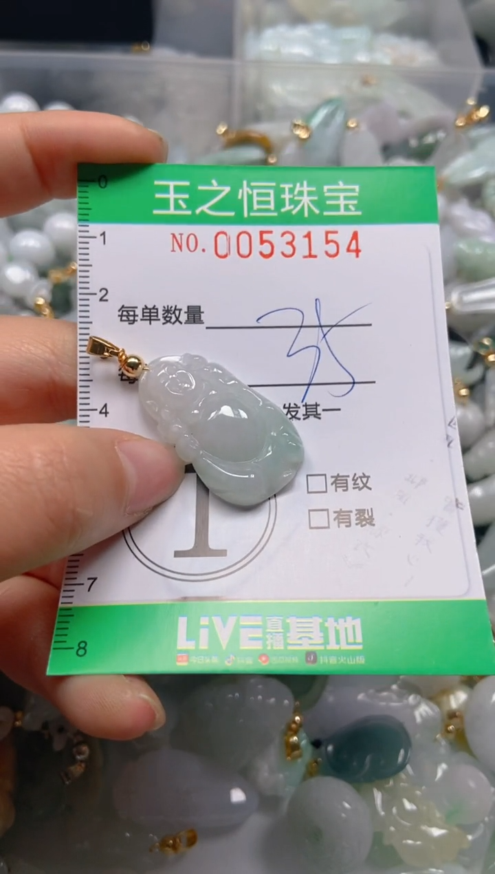【闪购商品】翡翠颈饰未镶嵌闪购0053154