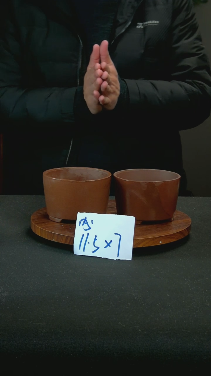 【闪购商品】紫砂Y4