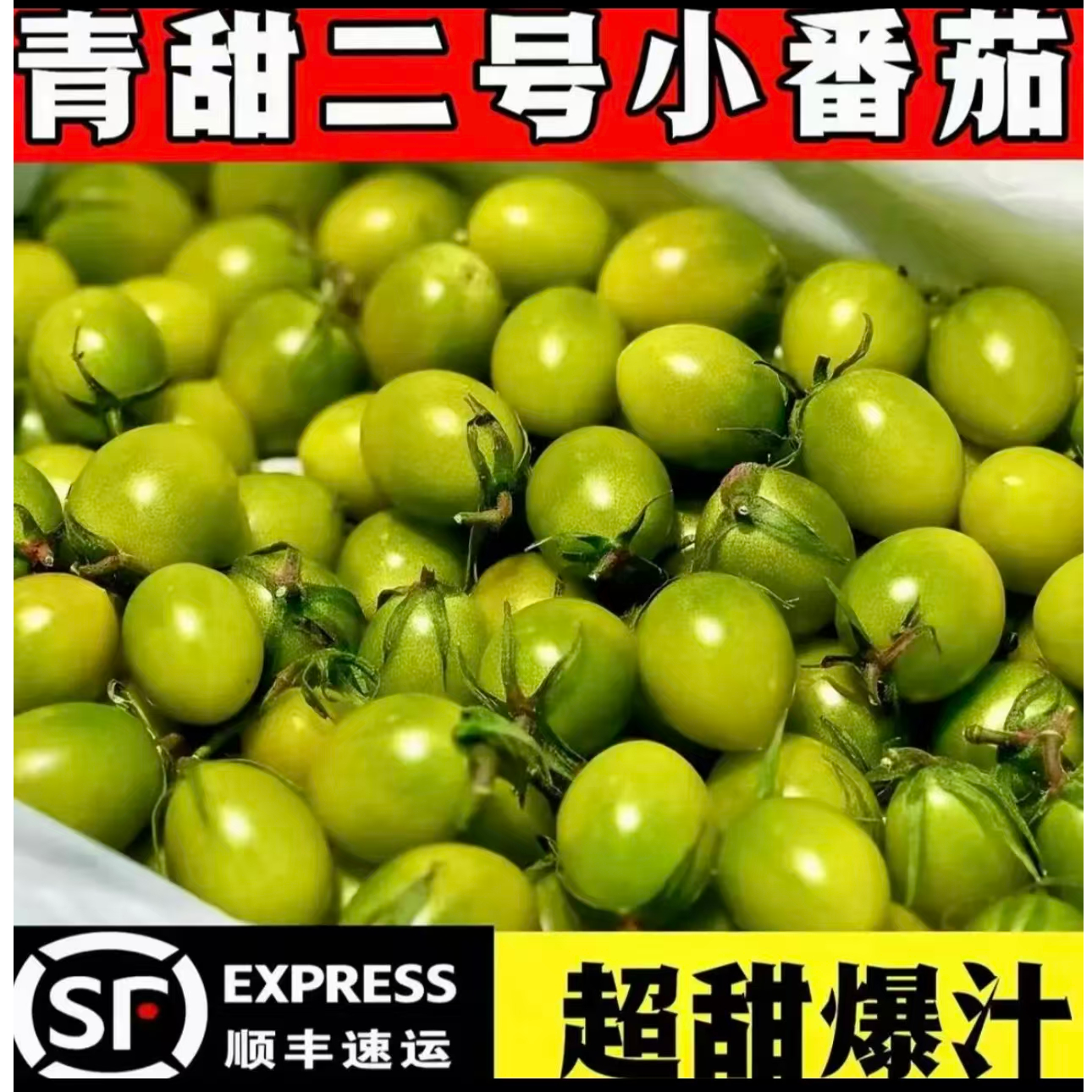 精品青甜2号绿色小番茄爆汁超甜！山东产地直发顺丰包邮