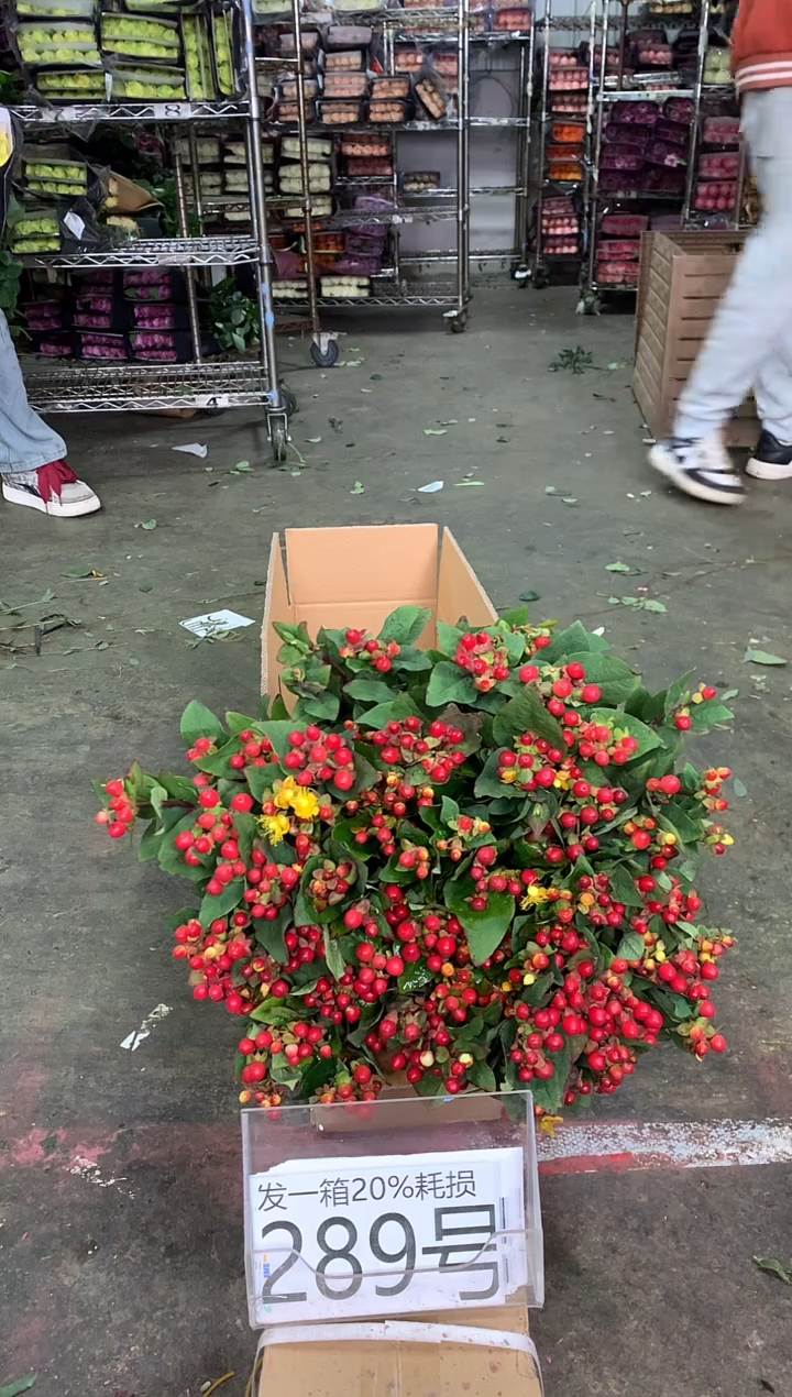 289/3号♥中通含20%耗损发一箱鲜花