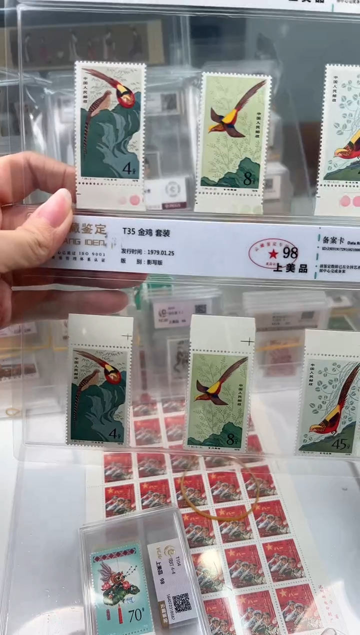 T35 金鸡 带色标 福利