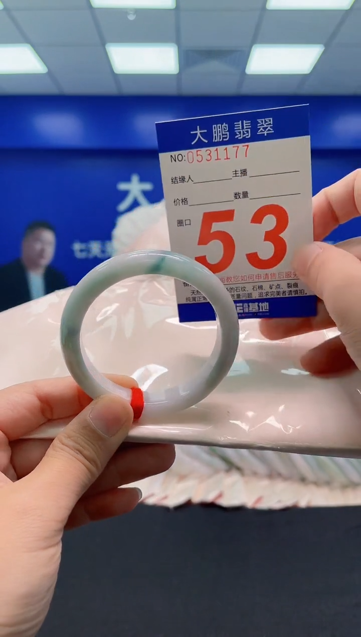 未镶嵌手镯翡翠AAAAAAAAA