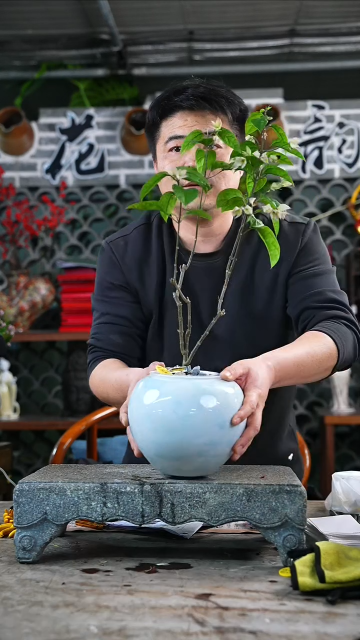 完全开放龙吐珠101+