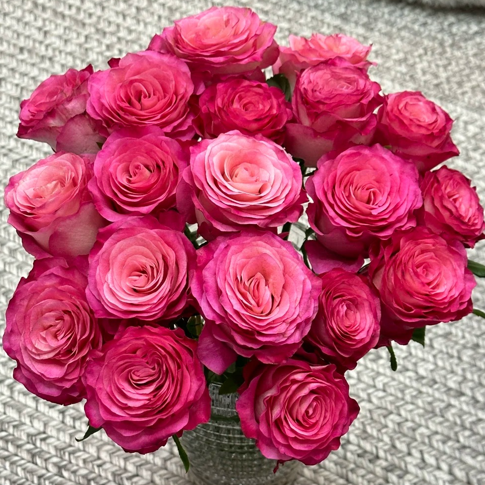 【云南鲜花】单头（卡门）玫瑰 1单普通包邮，2单以上顺丰冷链