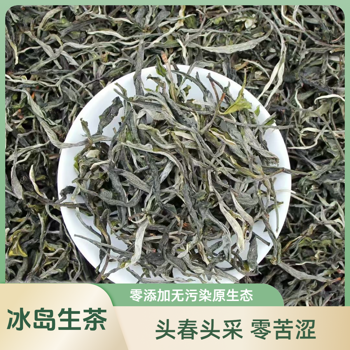 冰岛普洱生茶半斤装新茶叶古树散茶口粮茶花蜜甜