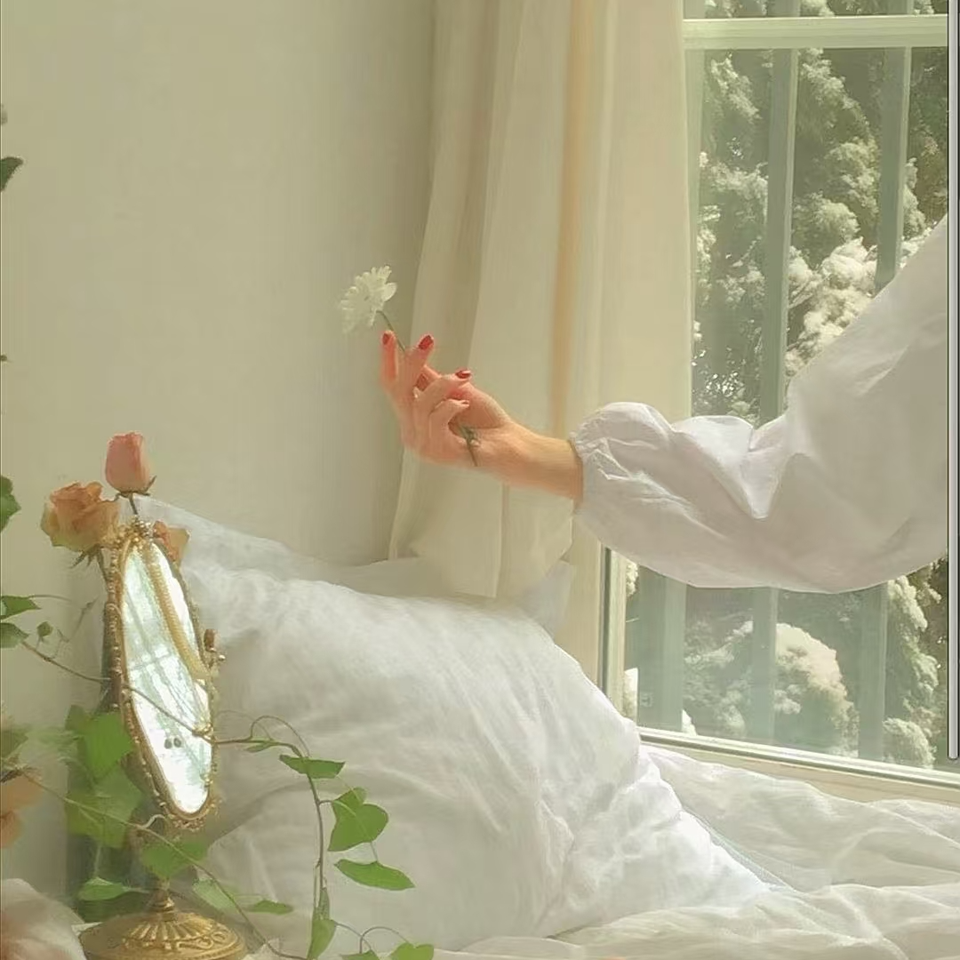 非金属仿珍珠胸针 灼灼家原创5号夹子momo拍之前问主播哦