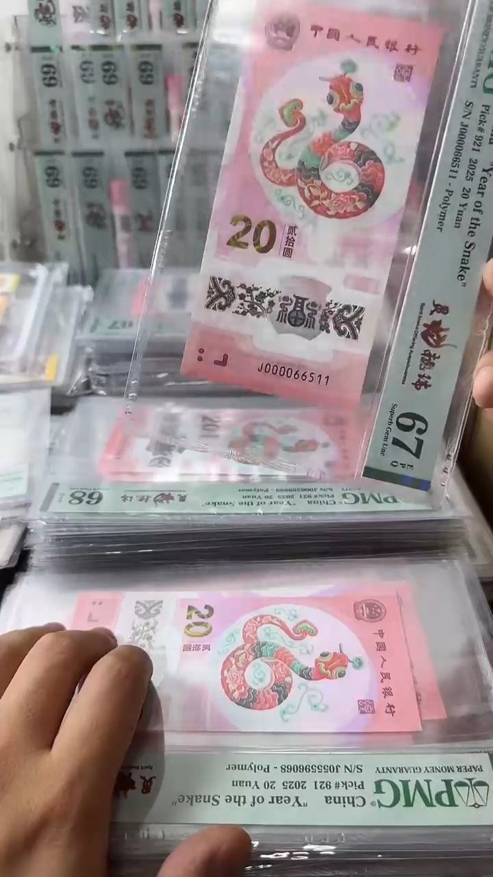 塑料000066511-蛇钞单张