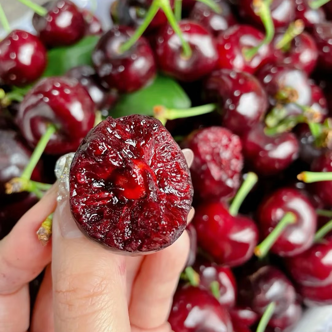 空运智利车厘子5J 5斤桑提娜智利