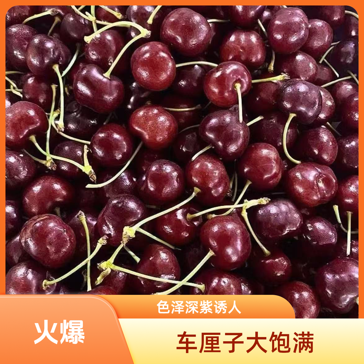 空运新鲜智利车厘子2斤装【单JD】桑提娜桑提娜智利