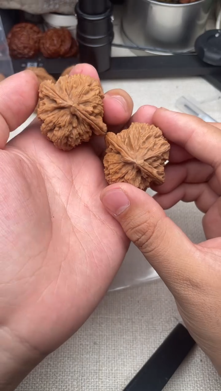 把件文玩核桃与**定1130-与否决定-三角白