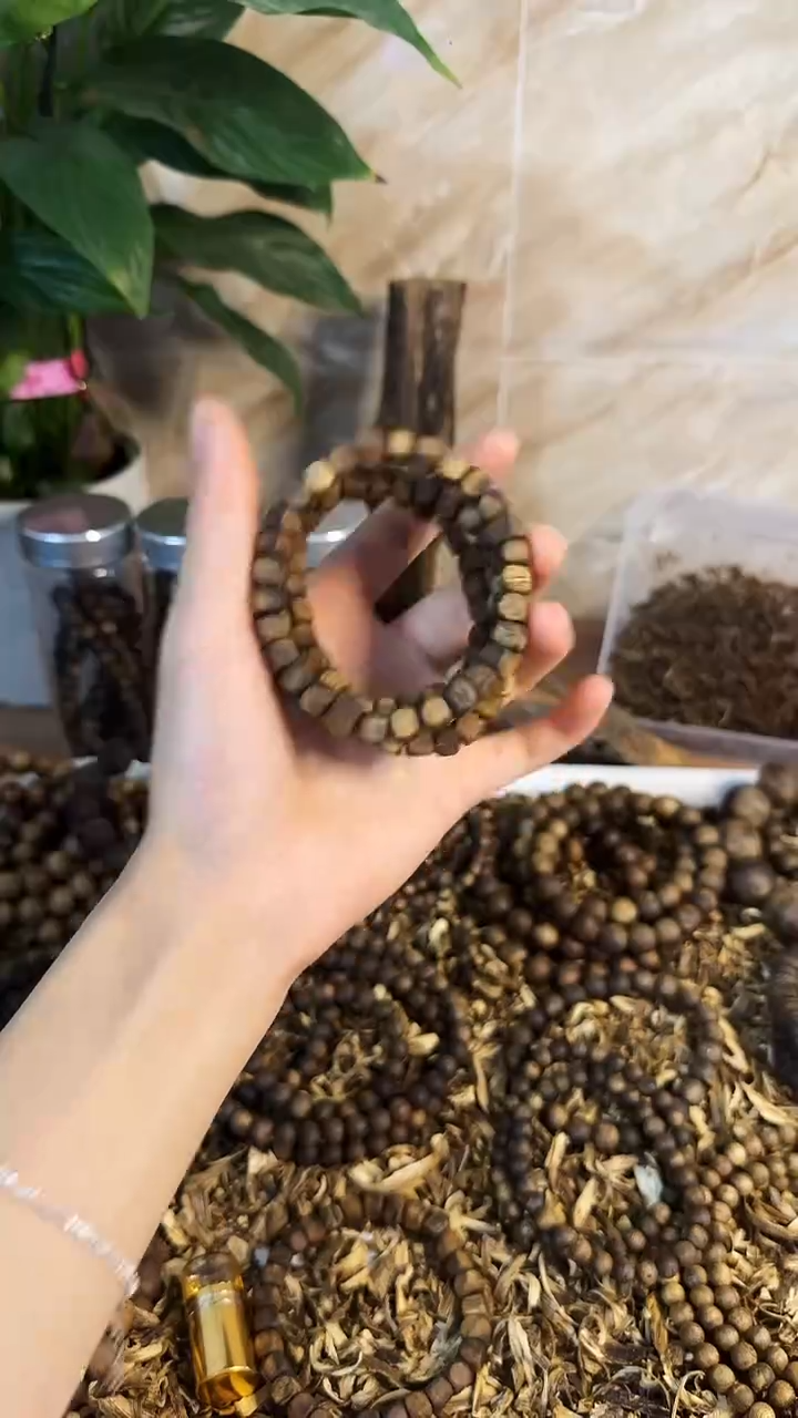 沉香碎屑沉香种植绿奇方糖