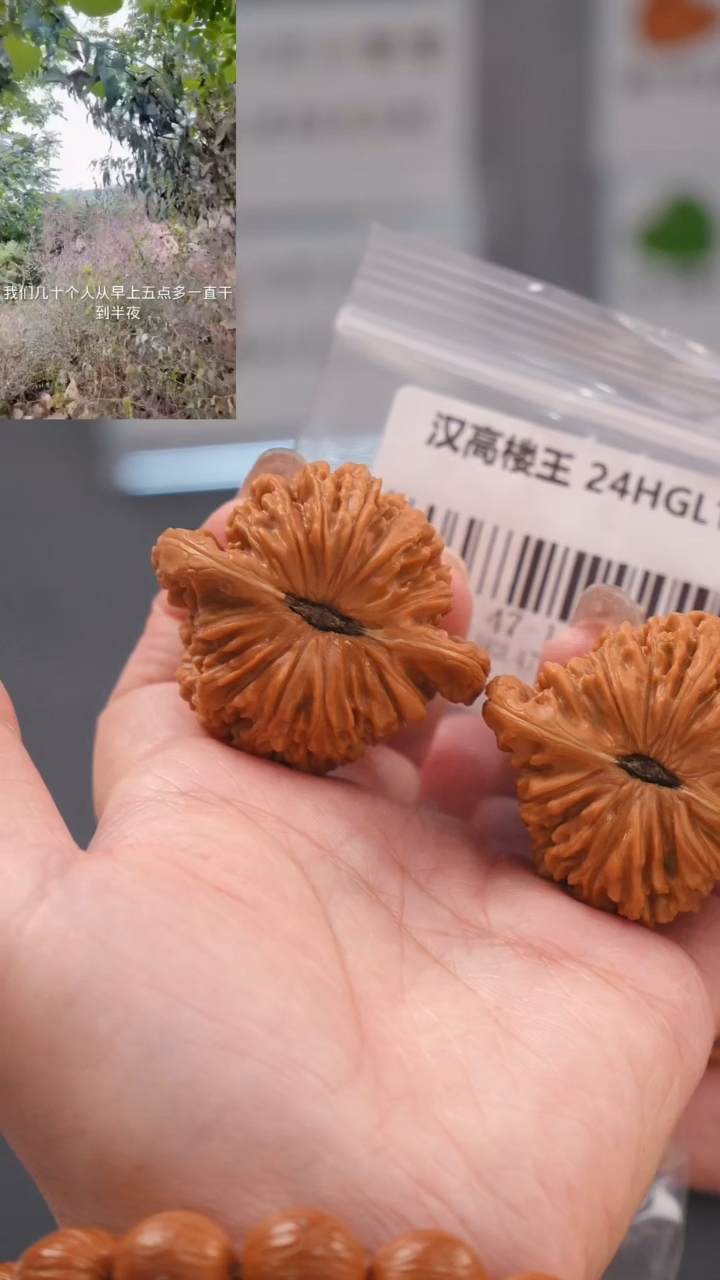 【闪购商品】文玩核桃吊坠47汉高楼王(汉高楼10