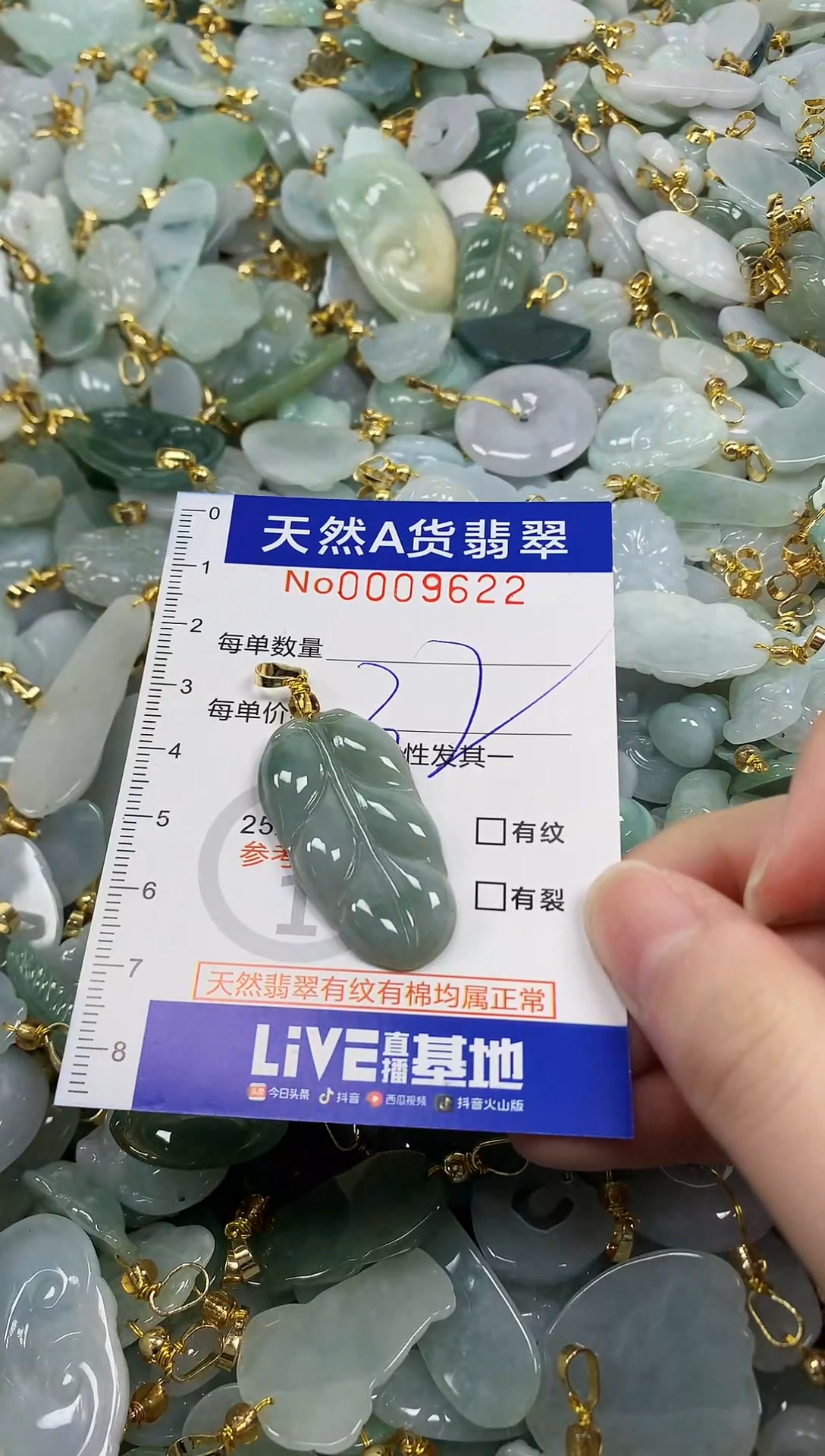 颈饰未镶嵌翡翠纯天然a货翡翠