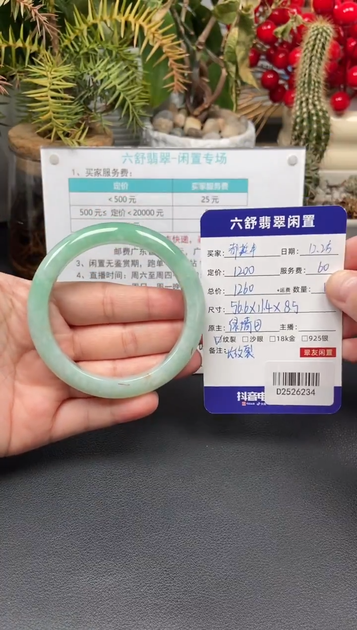 未镶嵌手镯翡翠都**?D2526234