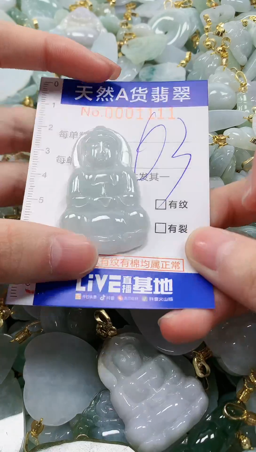 颈饰未镶嵌翡翠纯天然a货翡翠